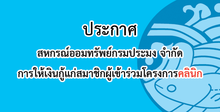 ผู้ตรวจสอบกิจการ