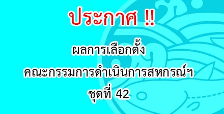 ผู้ตรวจสอบกิจการ