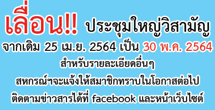 ผู้ตรวจสอบกิจการ