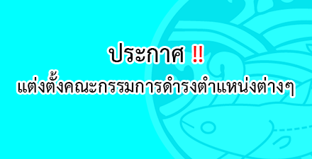 ผู้ตรวจสอบกิจการ