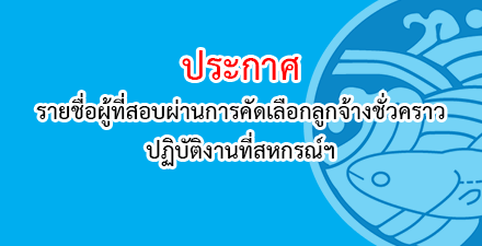 ผู้ตรวจสอบกิจการ