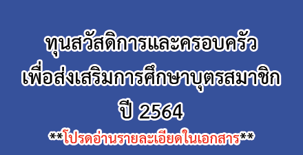 ผู้ตรวจสอบกิจการ